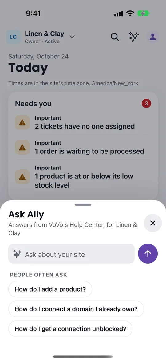VoVo app Ask Ally sheet with suggested how-to questions from the Help Center.