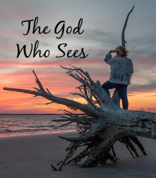 The God Who Sees E-Book